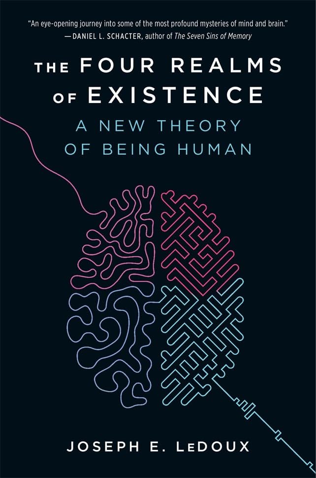 The Four Realms of Existence : A New Theory of Being Human - Retail Maharaj