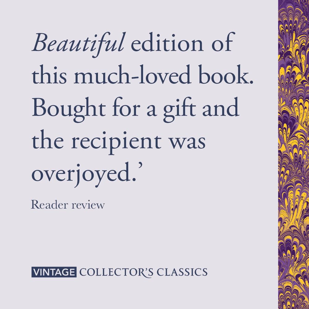 The Great Gatsby: The sprayed edge gift edition of Fitzgerald's glittering Jazz Age tale (Vintage Collector's Classics) - Retail Maharaj