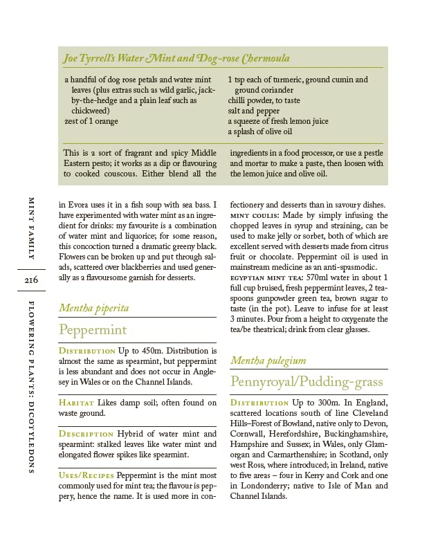 The Forager Handbook: A Guide to the Edible Plants of Britain - Retail Maharaj