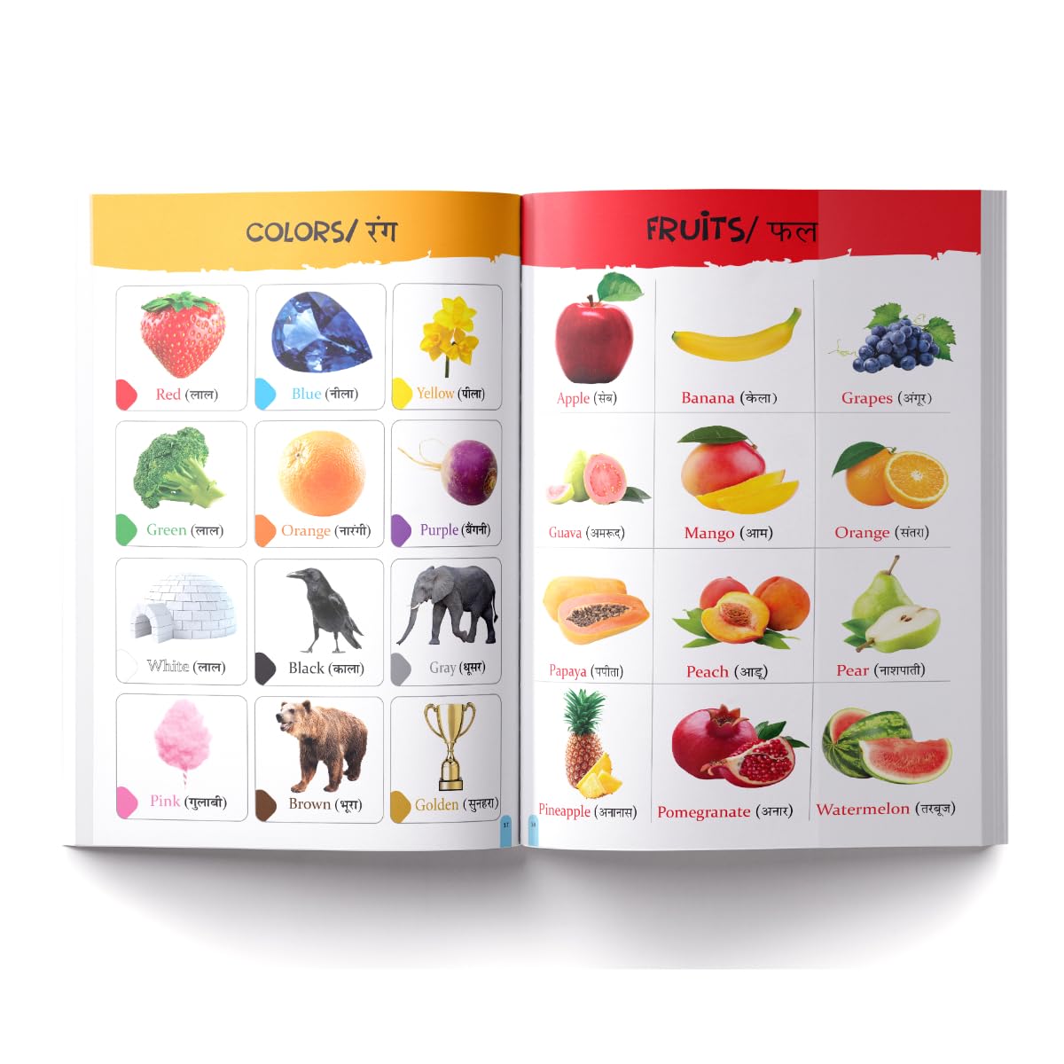 My First All in One : Bilingual Picture Book For Kids Hindi-English - Retail Maharaj