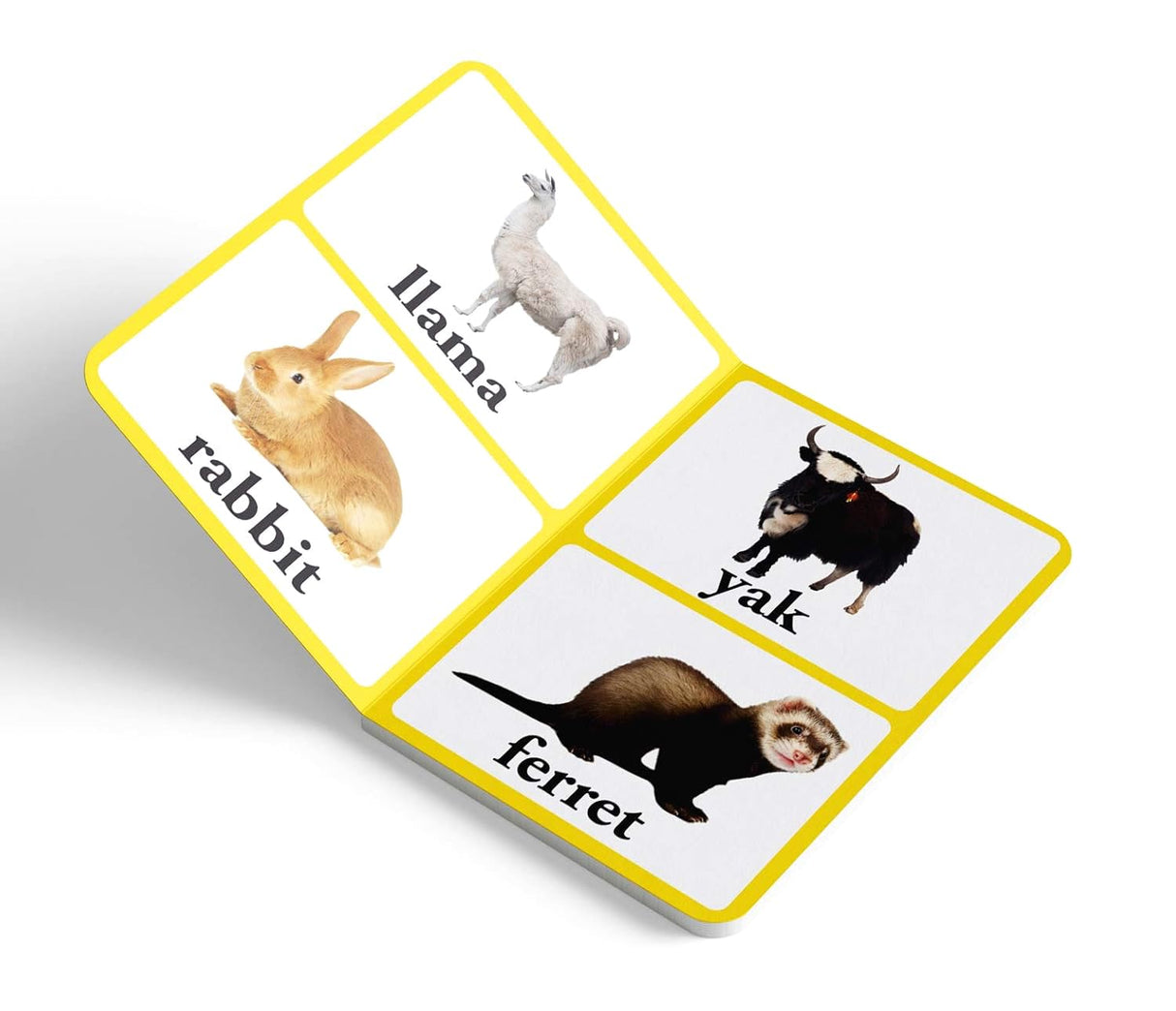 Farm Animals & Pets – Early Learning Board Book with Large Font: Brightly Illustrated Animal Book for Kids | Big Board Books Series for Babies, Toddlers & Preschoolers | Learn About Cows, Dogs, Cats & More with Bold Text & Clear Pictures | Ages 0–5 Years - Retail Maharaj