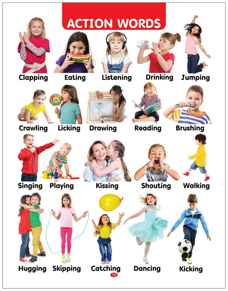 My First All in One Board Book (English): Picture Board Book for Kids | Vibrant and Eye-Catchy Pictures to Fascinate Young Ones | Early Learning Books For Babies, Toddlers & Preschool Kids | Learn Alphabet, Wild Animals, Birds, Nursery Rhymes & More | Age - Retail Maharaj