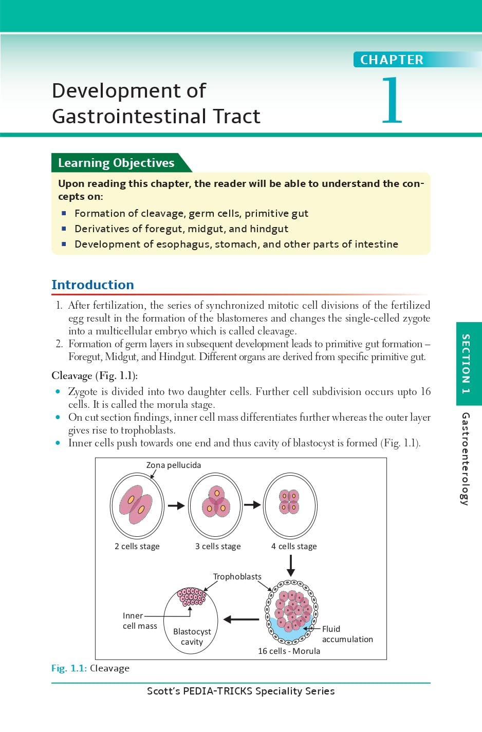 Scott's Pediatricks Specialty Series Concise Pediatric Gastroenterology and Hepatology - Retail Maharaj
