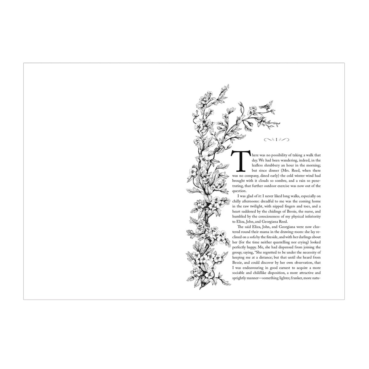 Jane Eyre by Charlotte Brontë Cranford Collection Decorative Classic Literature Novel - Retail Maharaj