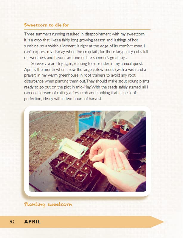 The Allotment Almanac: a month-by-month guide to getting the best from your allotment from much-loved Radio 2 gardener Terry Walton - Retail Maharaj