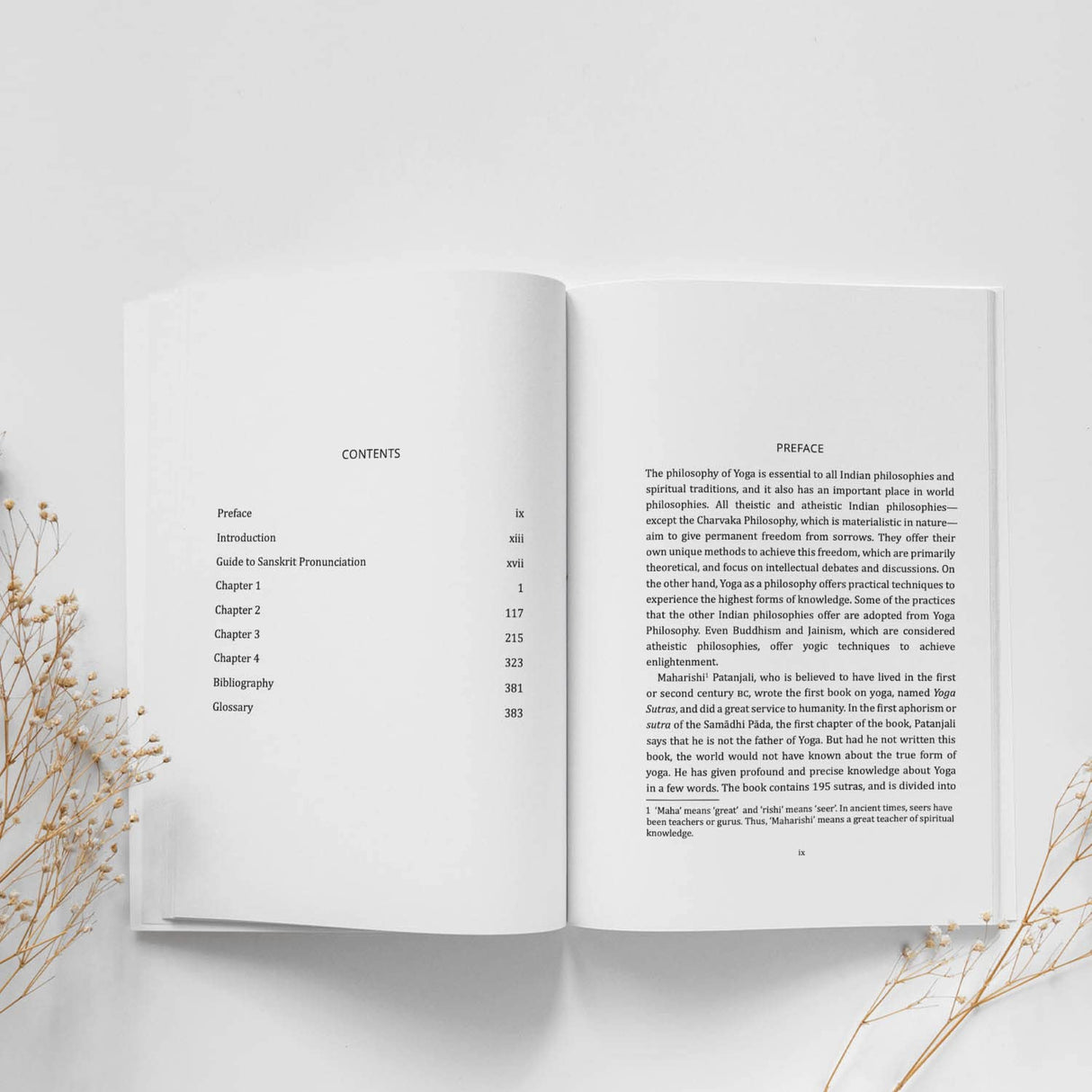 Decoding the Yoga Sutras of Patanjali - A Beginner's Guide to the Ultimate Truth - Retail Maharaj