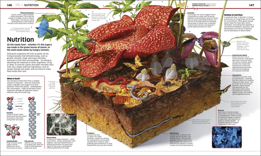 Knowledge Encyclopedia: Science!: Science As You've Never Seen It Before - Retail Maharaj