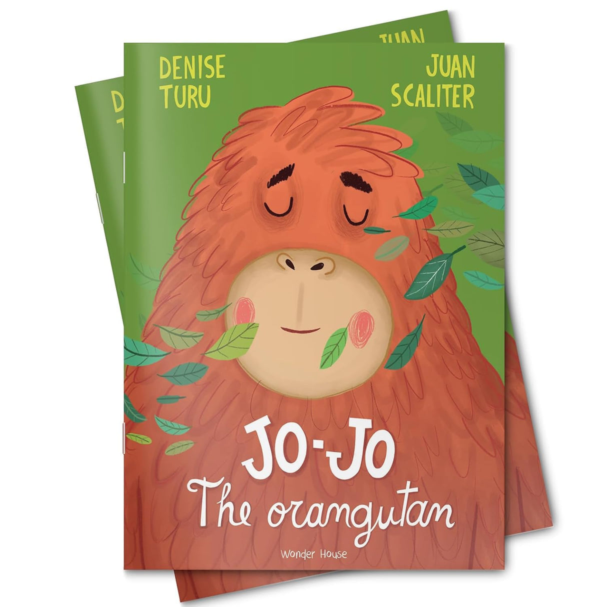 Jo-Jo The Orangutan – Illustrated Picture Book For Children - Retail Maharaj