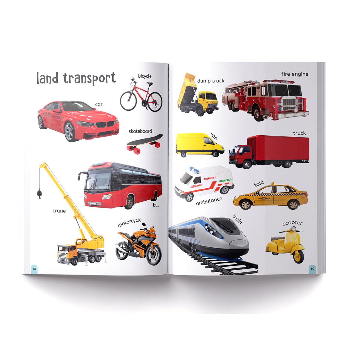 My First 500 Words: Early Learning Picture Book to learn Alphabet, Numbers, Shapes and Colours, Transport, Birds and Animals, Professions, Opposite Words, Action Words, Parts of the body and Objects Around Us. - Retail Maharaj