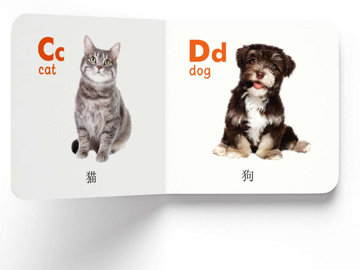My First English-Chinese Learning Library : Bilingual Boxset of 10 Picture Board Books for Kids - Retail Maharaj