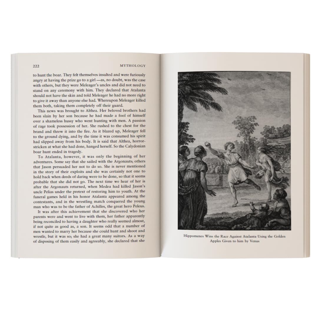 Mythology : Timeless Tales of Gods and Heroes - Retail Maharaj