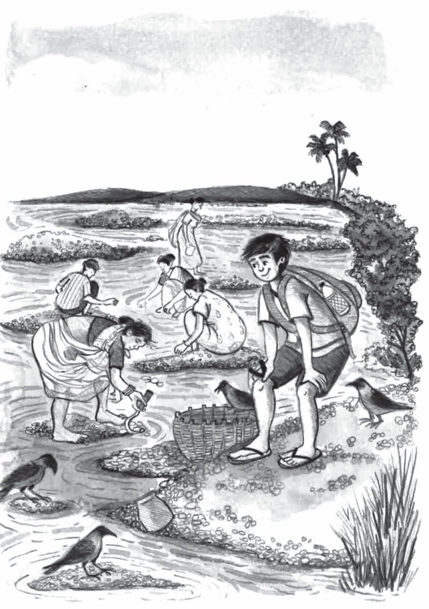 Pedru Aur Bada Dhamaka By Nandita da Cunha
