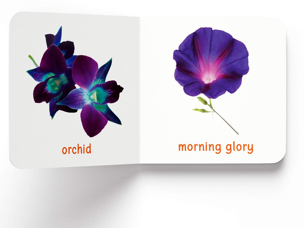 My First Book of Flowers | First Flower Board Book for Babies, Toddlers & Preschoolers | Learn About Beautiful Flowers with Bright, Colorful Pictures | Early Learning Book for Kids Ages 0-3 Years - Retail Maharaj