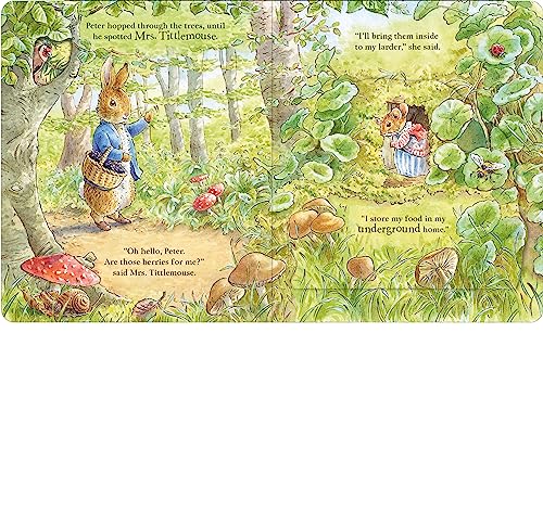 Peter Rabbit: Forest Homes A Peep-Inside Tale - Retail Maharaj
