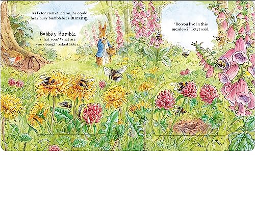 Peter Rabbit: Forest Homes A Peep-Inside Tale - Retail Maharaj