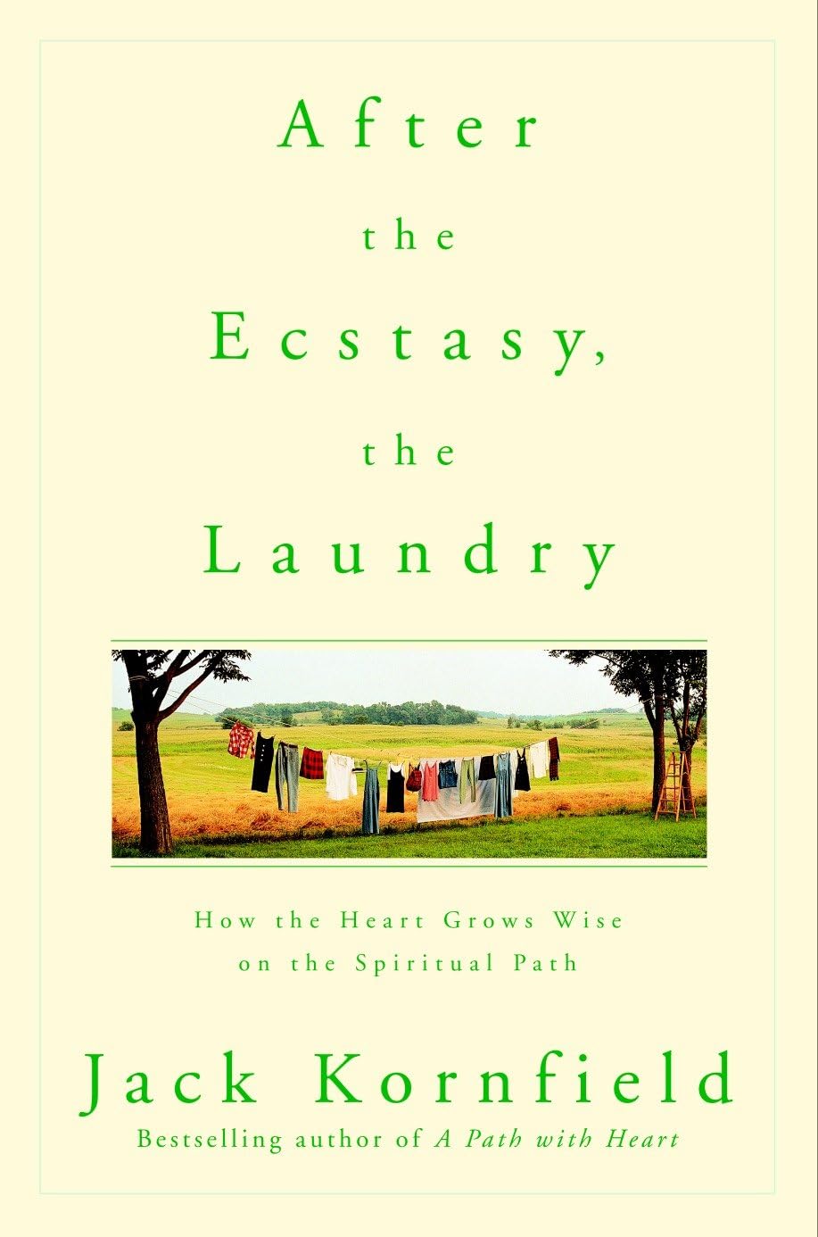 After the Ecstasy, the Laundry - Retail Maharaj