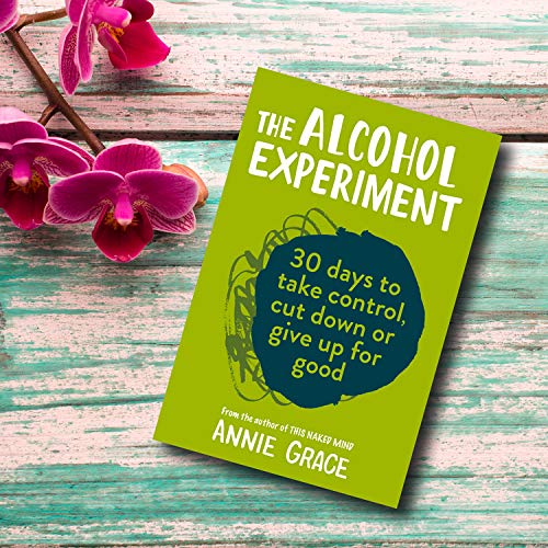 The Alcohol Experiment - Retail Maharaj