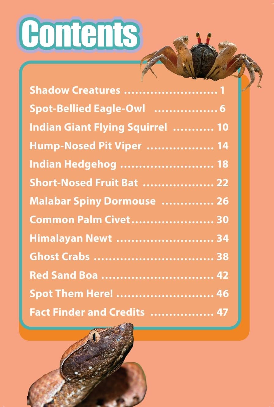 INDIA’S COOLEST NOCTURNAL ANIMALS : Wild About India - Engaging Book for Kids (Ages 5-15) - Fun Facts, Trivia Questions and Answers to Teach Your Children about the Animal Kingdom - Retail Maharaj
