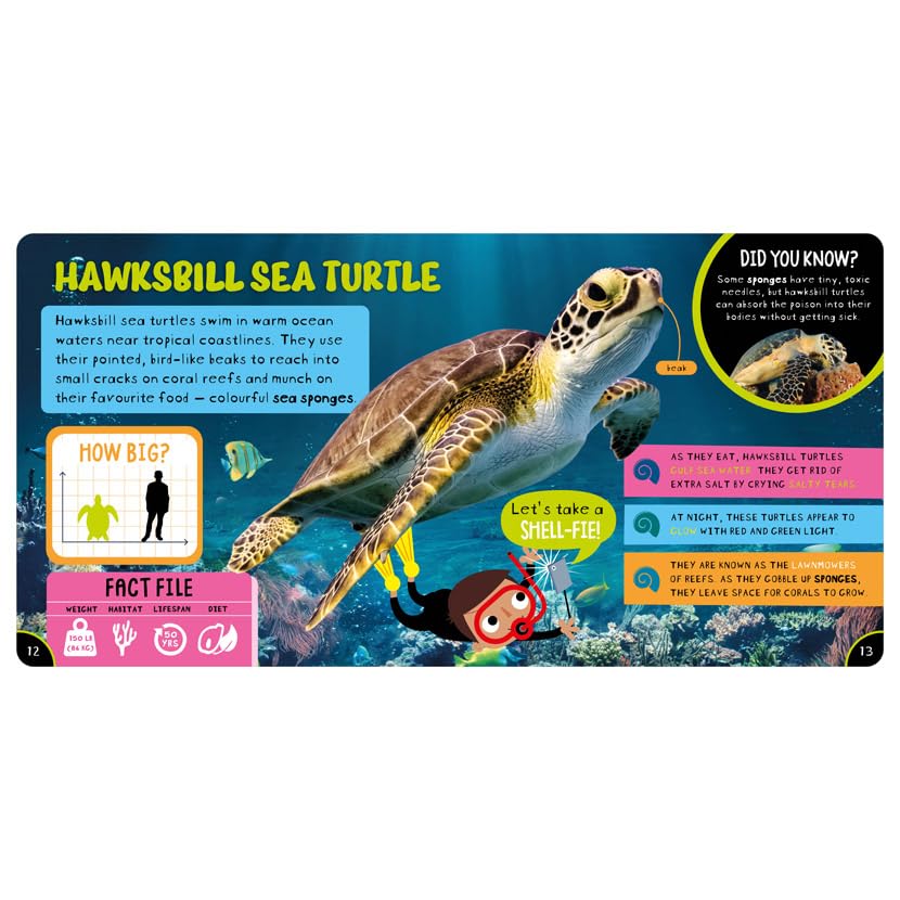 Amazing Turtles - Retail Maharaj