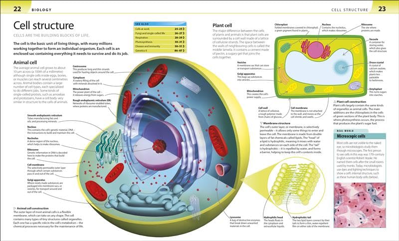 Help Your Kids with Science: A Unique Step-by-Step Visual Guide | Study Guide to for Biology, Chemistry & Physics | Covering Key Concepts, Terms & Exam Prep - Retail Maharaj