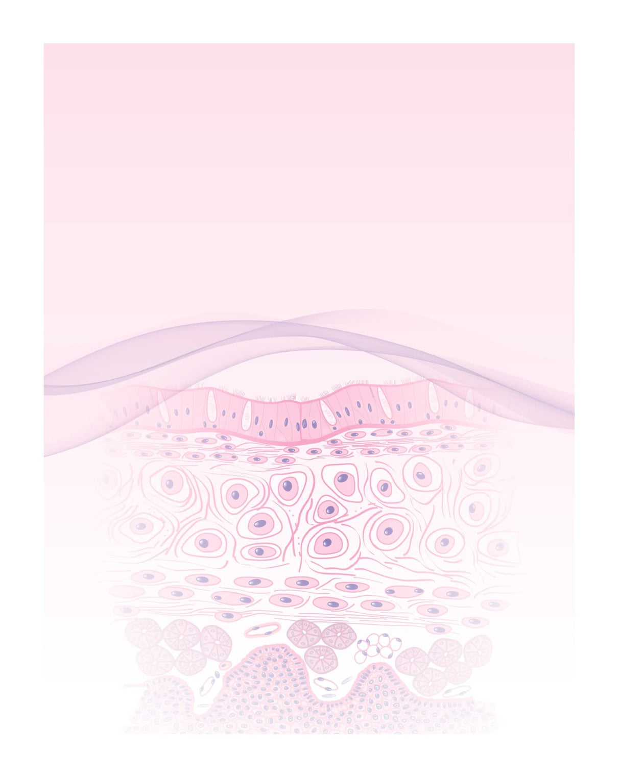 Practical Histology Workbook 3Ed (Pb 2025) - Retail Maharaj