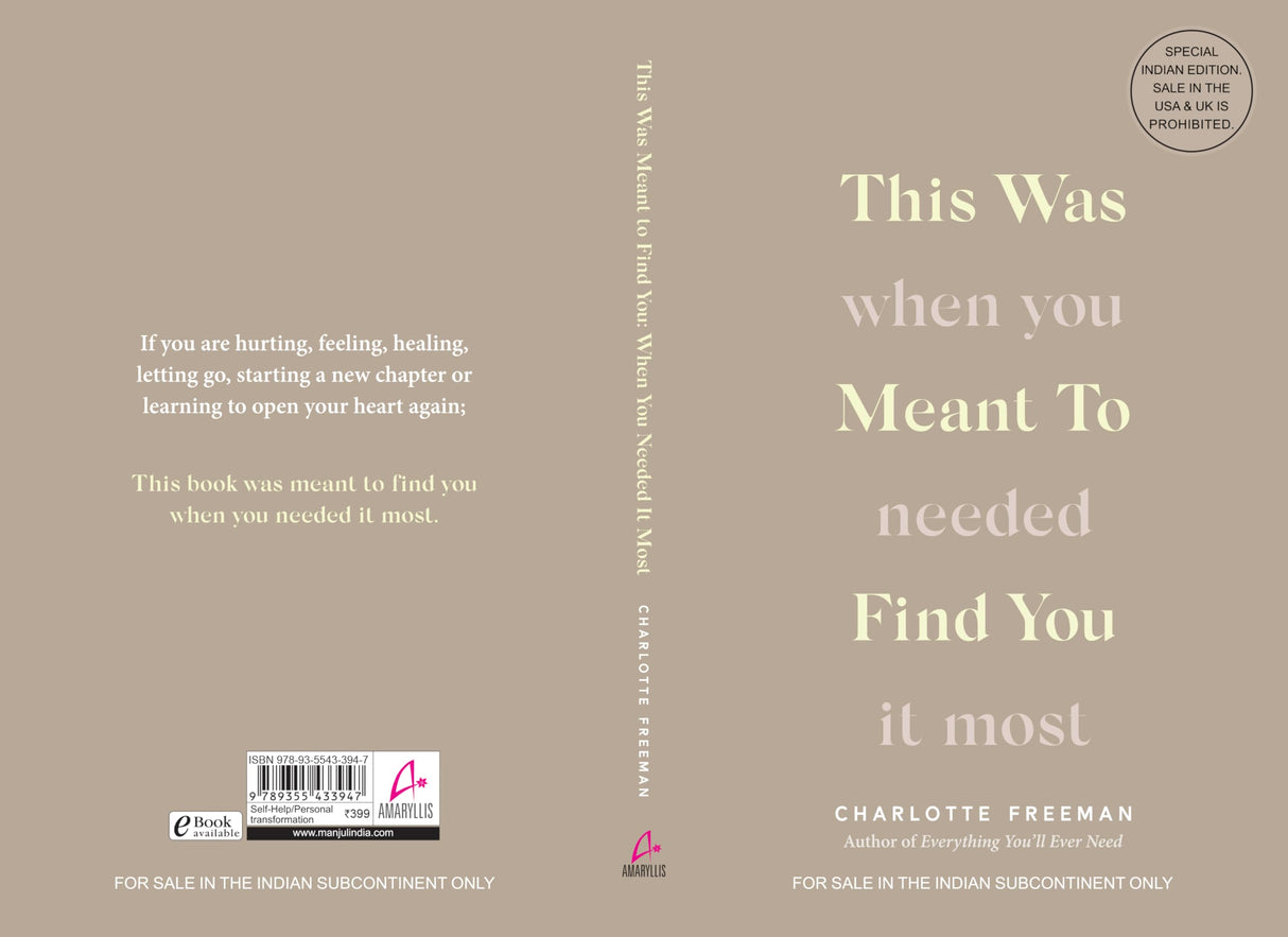 This Was Meant to Find You: When You Needed It Most (English) - Retail Maharaj