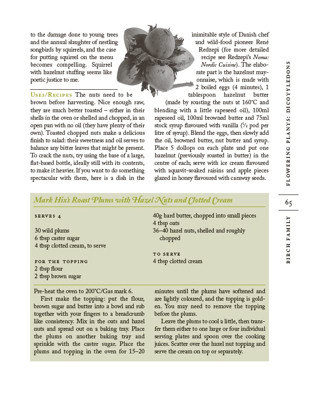 The Forager Handbook: A Guide to the Edible Plants of Britain - Retail Maharaj