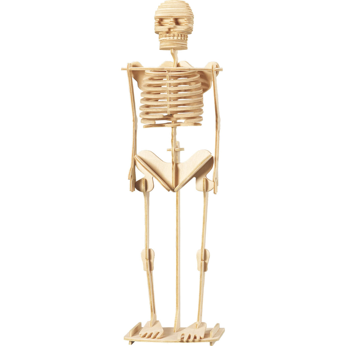 WOL DISCOVER THE HUMAN BODY - TIN BOX KIT, NPP - Retail Maharaj