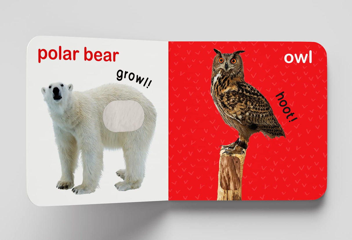 My First Book of Touch And Feel - Wild Animals : Touch And Feel Board Book For Children - Retail Maharaj