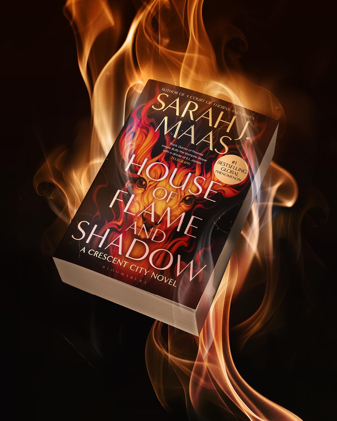 House of Flame and Shadow: The INTERNATIONAL BESTSELLER and the smouldering third book in the Crescent City series, from the creator of ACOTAR - Retail Maharaj