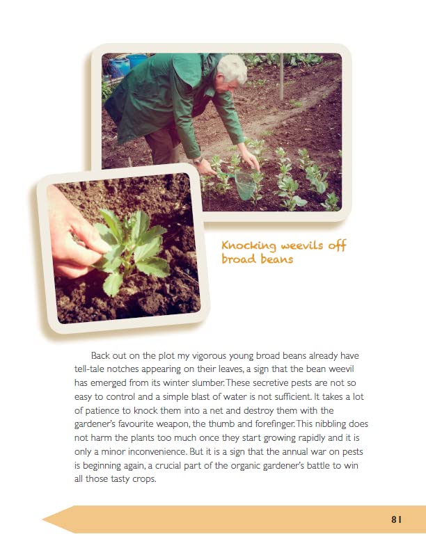 The Allotment Almanac: a month-by-month guide to getting the best from your allotment from much-loved Radio 2 gardener Terry Walton - Retail Maharaj