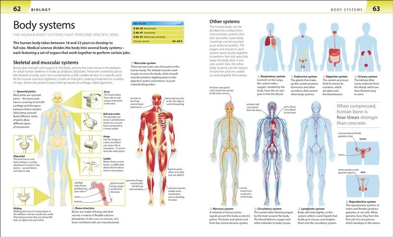 Help Your Kids with Science: A Unique Step-by-Step Visual Guide | Study Guide to for Biology, Chemistry & Physics | Covering Key Concepts, Terms & Exam Prep - Retail Maharaj