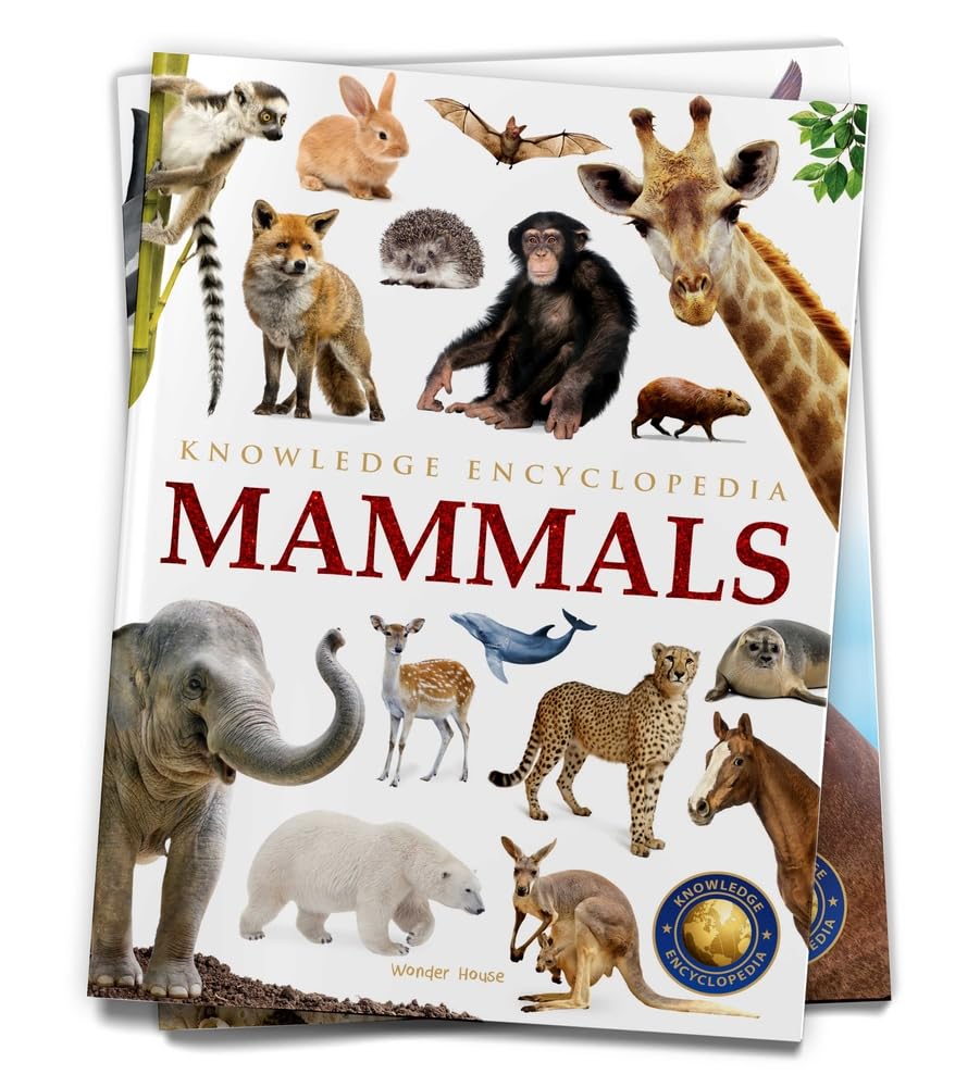 Animals - Mammals : Knowledge Encyclopedia For Children - Retail Maharaj