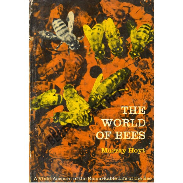 The World of Bees 1st Edition - Retail Maharaj