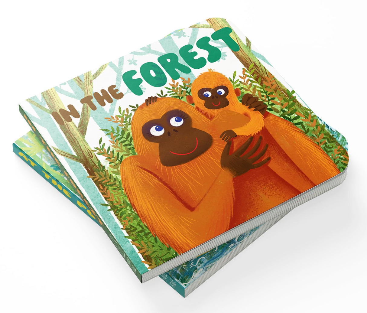 My First Baby Animal – Boxed Set of 5 Board Books: On the Pond, In the Forest, On the Farm, On the Mountains & In the Savanna | Illustrated Early ... Board Books for Ages 0–3 Years: Mini Box Set - Retail Maharaj