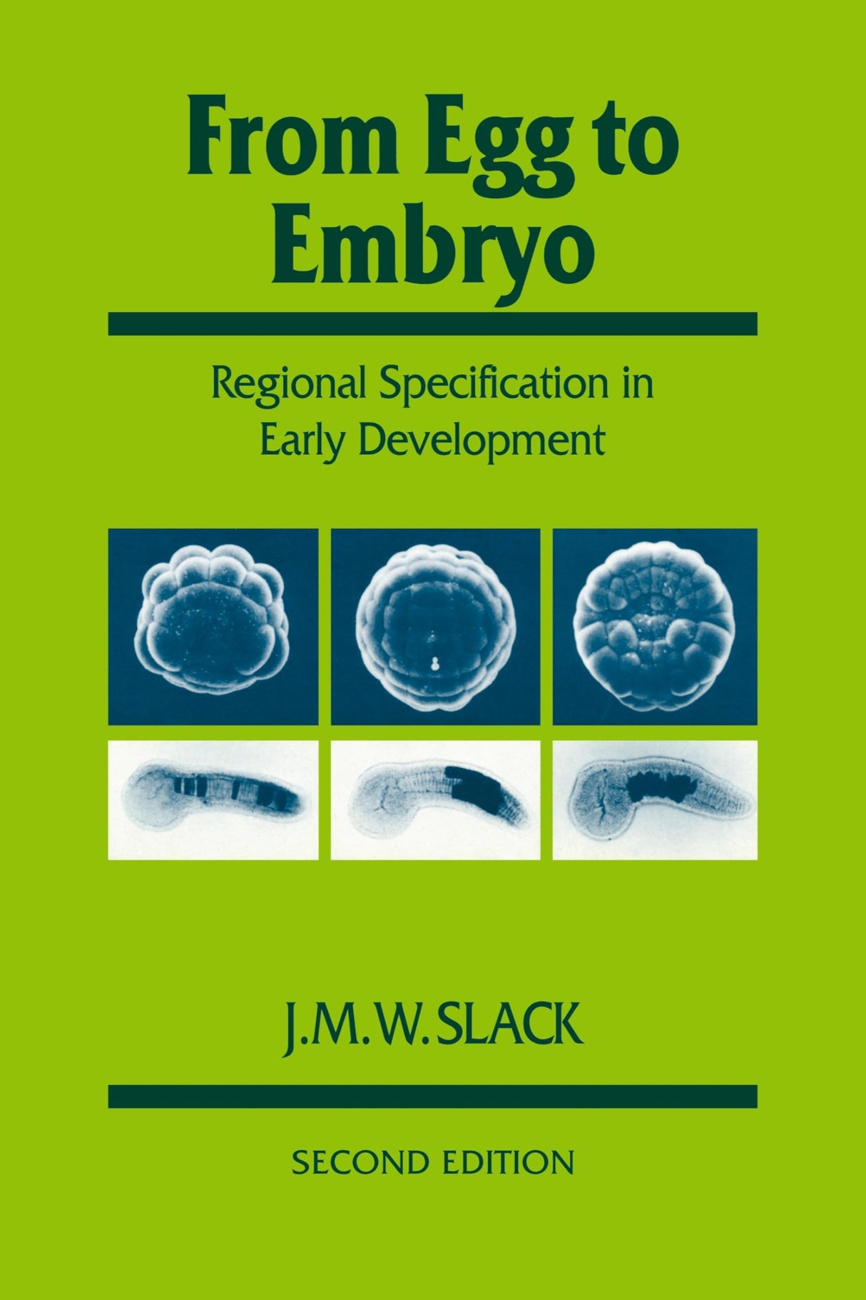 From Egg to Embryo: Regional Specification in Early Development: 26 (Developmental and Cell Biology Series) - Retail Maharaj