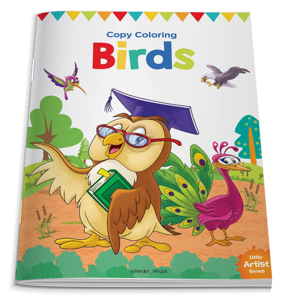 Little Artist Series Birds: Copy Colour Books - Retail Maharaj