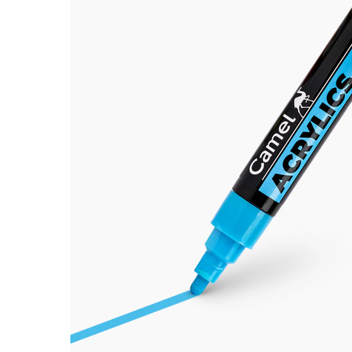 Camel Acrylic Markers Set of 12 Shades - Retail Maharaj