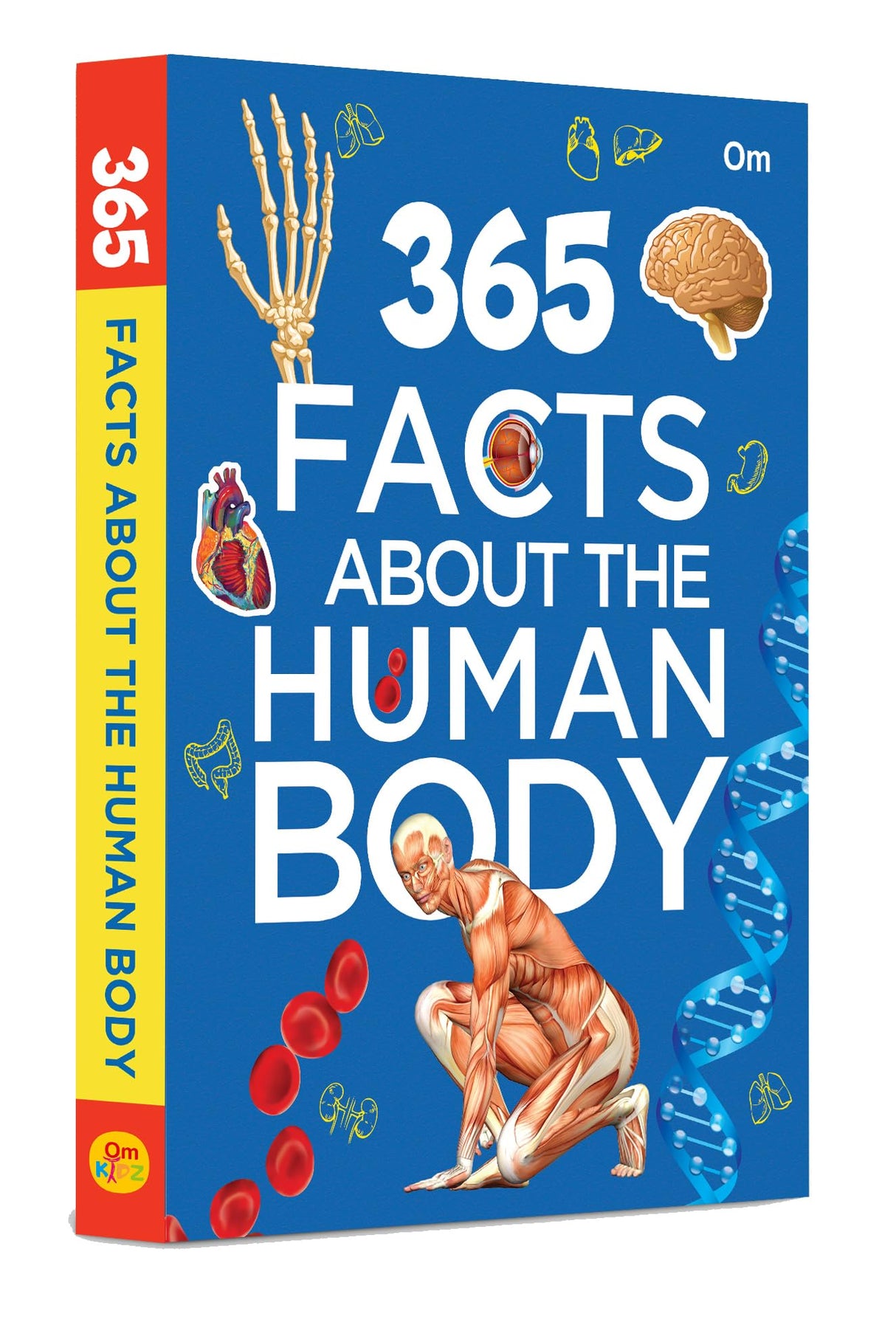 365 Facts About the Human Body: Anatomy & Biology Facts for Kids | Daily Insights into Anatomy, Organs, Senses & More | How the Body Works | Science Made Fun for Children | Ages 8+ - Retail Maharaj
