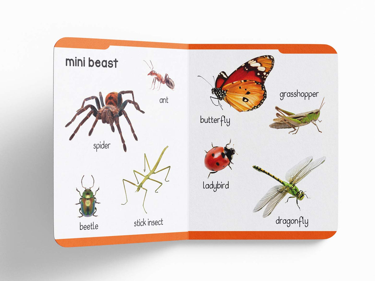 My First Padded Book of Animals: Early Learning Board Book for Kids | Learn About Wild Animals, Farm Animals, Pets & Birds with Bright Pictures | Durable Padded Board Book for Babies, Toddlers & Preschoolers | Ages 0–5 Years - Retail Maharaj