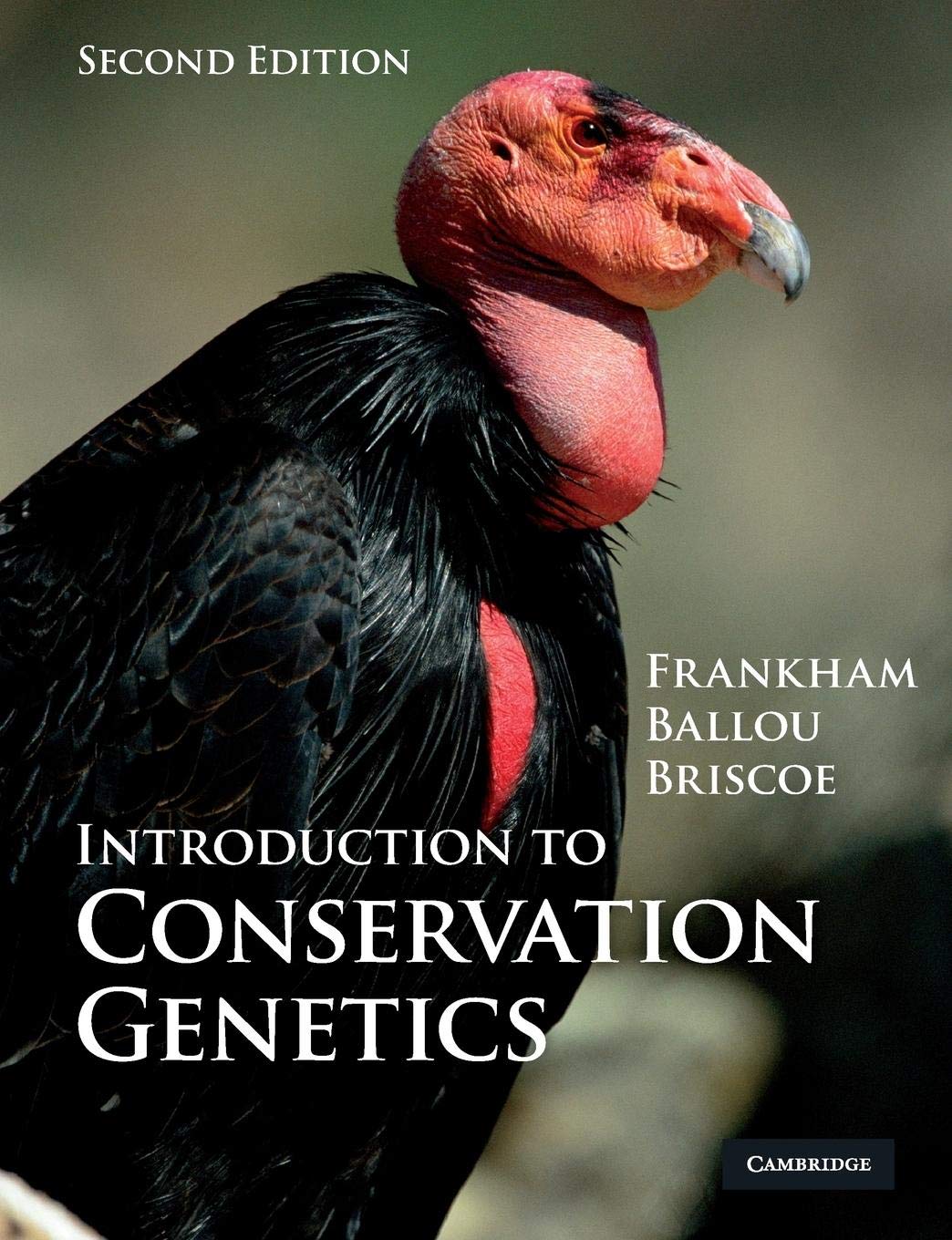 Introduction to Conservation Genetics - Retail Maharaj