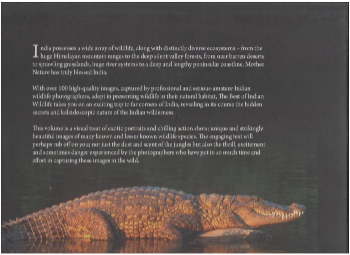 THE BEST OF INDIAN WILDLIFE - Retail Maharaj