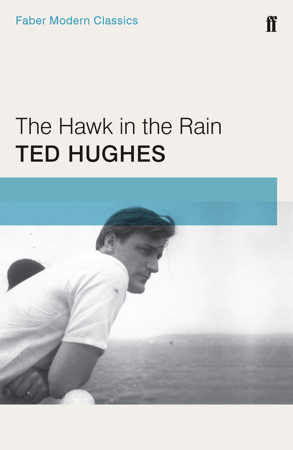 The Hawk in the Rain - Retail Maharaj