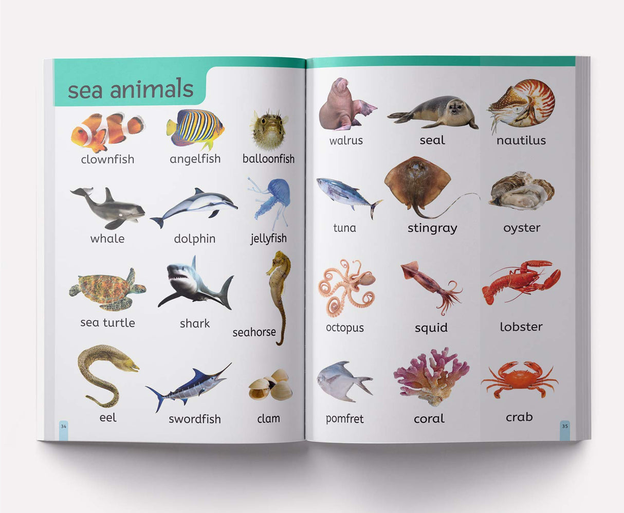 My First 1000 Words: Early Learning Picture Book to learn Alphabet, Numbers, Shapes and Colours, Transport, Birds and Animals, Professions, Opposite Words, Action Words, Parts of the body and Objects Around Us. - Retail Maharaj