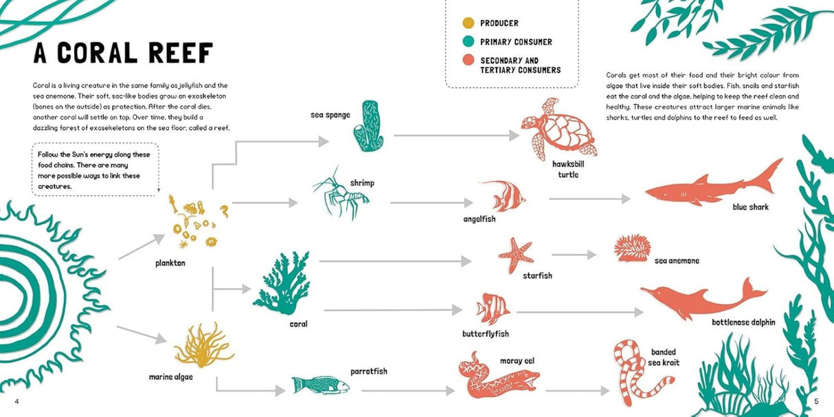 Food Chains: Who Eats What? - Retail Maharaj