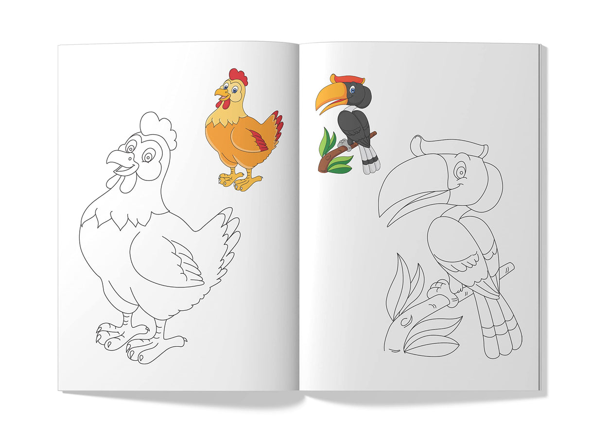 Little Artist Series Birds: Copy Colour Books - Retail Maharaj