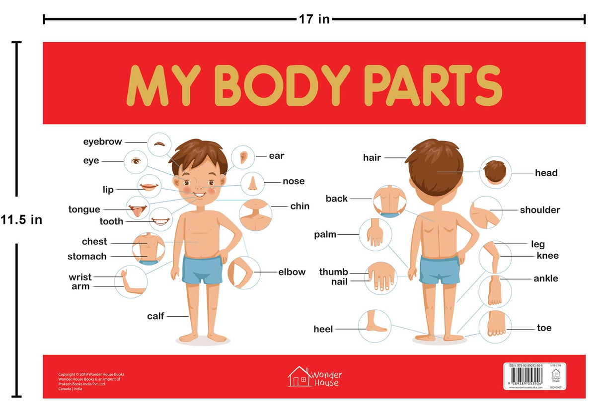 My Body Parts Chart - Early Learning Educational Chart For Kids: Perfect For Homeschooling, Kindergarten and Nursery Students (11.5 Inches X 17.5 Inches) - Retail Maharaj