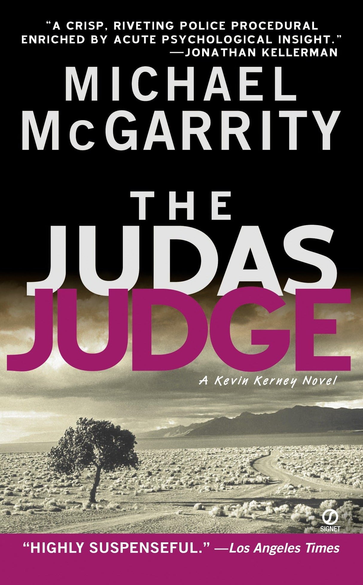 The Judas Judge - Retail Maharaj