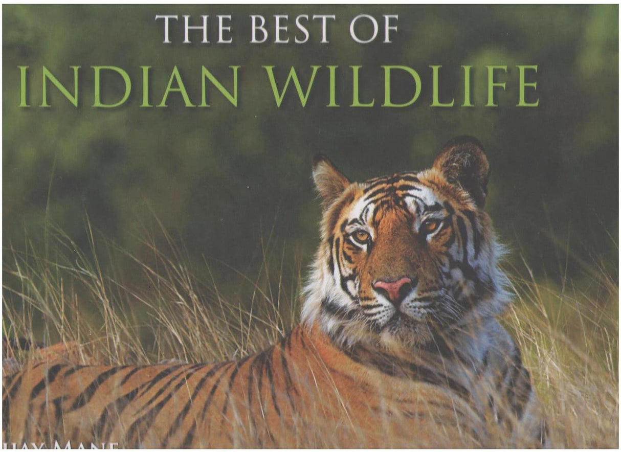 THE BEST OF INDIAN WILDLIFE - Retail Maharaj