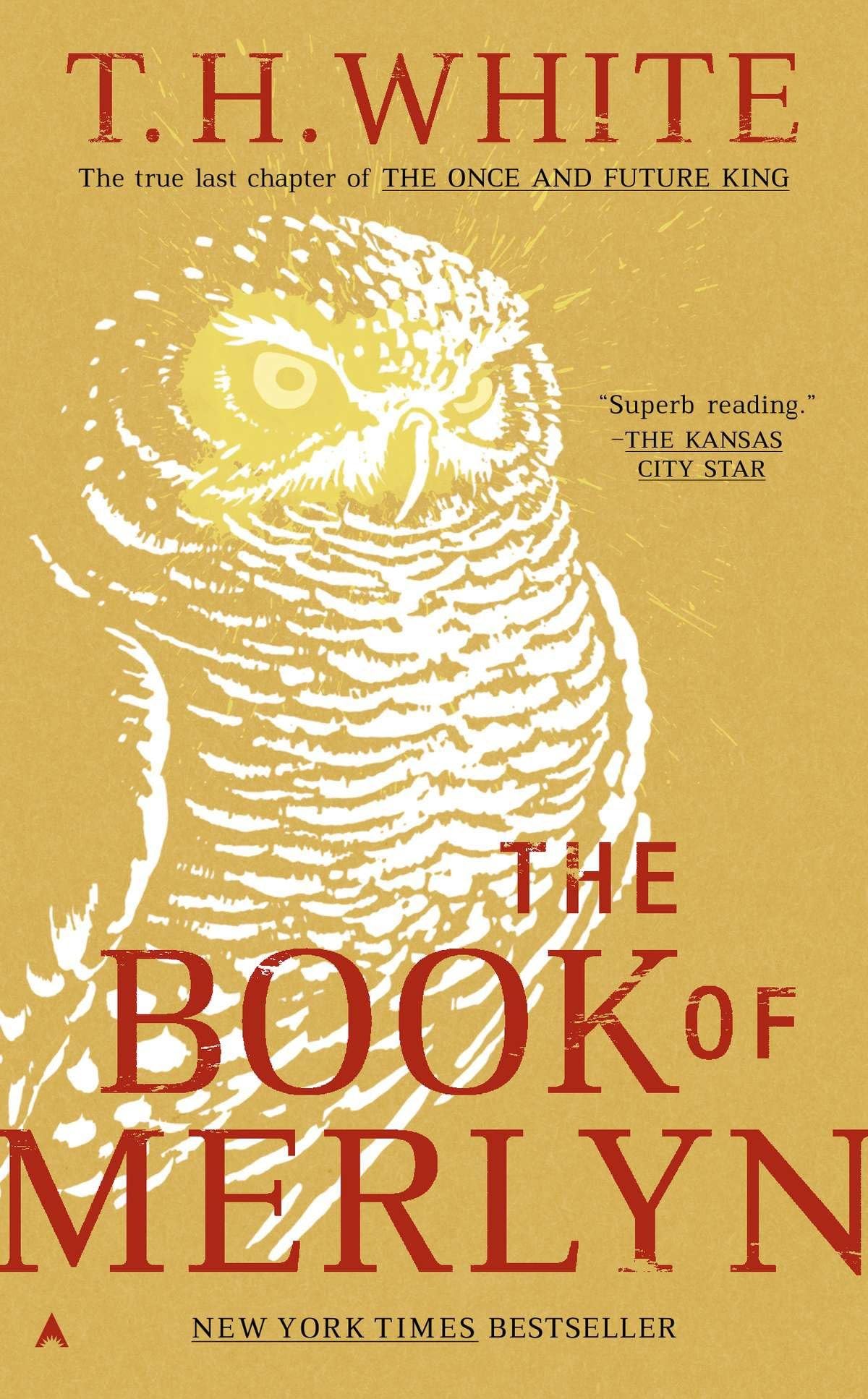 The Book of Merlyn - Retail Maharaj
